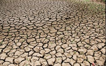 Dürre, der gefährliche Vorbote des Klimawandels