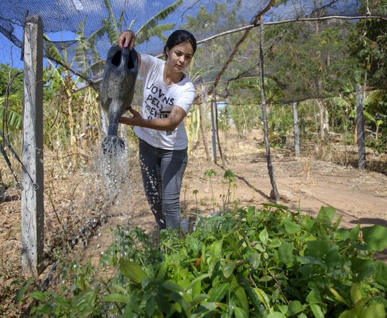 Maria Jose da Silva gießt Setzlinge im Obstgarten 