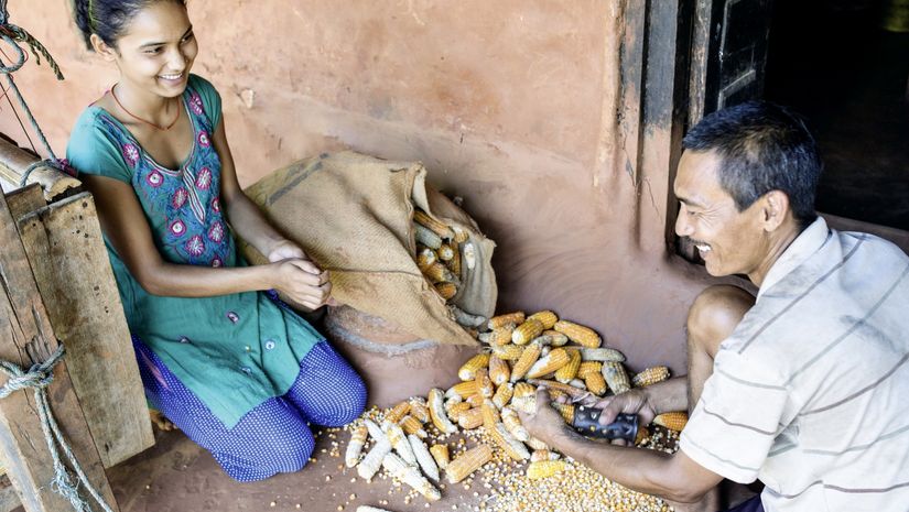Shankhar Bhujal und seine Tochter trennen Maiskörner vom Kolben 