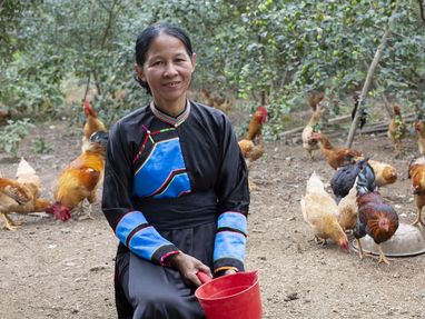 Portrait von Hien Khuong Thi mit ihren Hühnern im Hintergrund