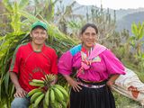 Ein peruanisches Ehepaar arbeitet gemeinsam auf seinem Feld.