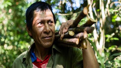 Juan Carlos Duarte im Wald mit Zuckerrohr auf der Schulter