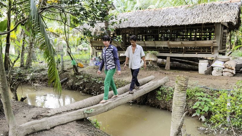 Duong Thanh Phong und seine Frau laufen über Baumstämme die als Brücke dienen 