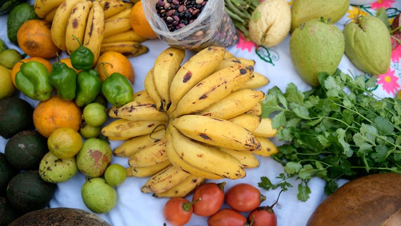 Gemüse und Früchte auf einer Decke verteilt (Bananen, Citrusfrüchte, Bohnen, Tomaten, Koriander)