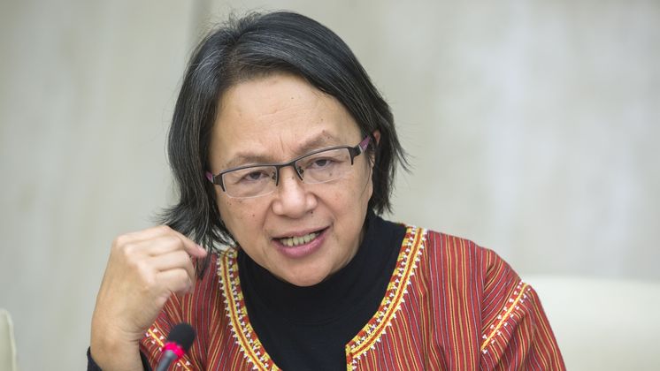 02 February 2015, Rome, Italy - Victoria Tauli-Corpuz, Un Special Rapporteur on the rights of Indigenous Peoples. Indigenous Food Systems, Agroecology and the Voluntary Guidelines on Tenure (VGGT) - A meeting between indigenous peoples and FAO - Opening session. FAO Headquarters (King Faisal Room).