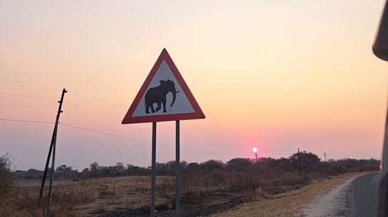 Vorsicht Elefanten!-Warnschild in Namibia 