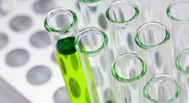 Grüne Gentechnik: Was der Agro-Industrie nützt, schadet den Menschen