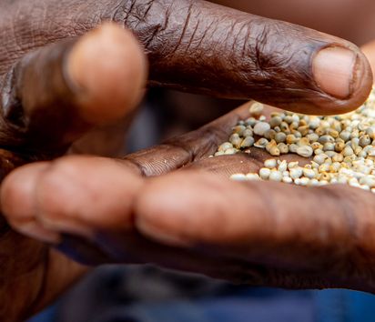 Gift Dirani (65) und seine Frau Evelyn (61) leben mit 5 ihrer 11 Kinder und 3 Enkelkindern auf ihrem Hof in Nyanyadzi, Chimanimani an der Ostgrenze Simbabwes. Die Region hat eine schwere Dürre erlebt und ist vom Klimawandel stark betroffen. Dadurch sind die Kleinbauern von großen Verlusten bei der Ernte und dem Viehbestand bedroht.Projektpartner: Towards Sustainable Use of Resources Organisation (TSURO)