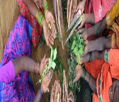Reportage zur Arbeit von ICRA (Institute for Cultural Research and Action) in der Region um MagadiFoto zeigt:  Treffen einer Selbsthilfegruppe, Spargruppe von Frauen in der "tribal village" in der Region von Magadi, 70 km von Bangalore. Das Dorf Jenukallupaly ist ein tribal village, dessen Bewohner arm und marginalisiert sind. Die Frauen haben Beispiele Ihrer traditionellen Nahrung und traditionelle Heilpflanzen mitgebracht um den Besuchern zu zeigen wie sie sich ernähren und medizinisch versorgen..