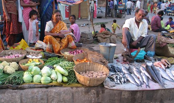 Ernährung sichern und Hunger bekämpfen