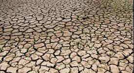 Dürre, der gefährliche Vorbote des Klimawandels