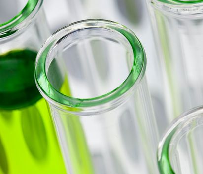 Grüne Gentechnik