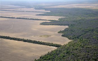 Mit Landrechten gegen Landraub und Land Grabbing