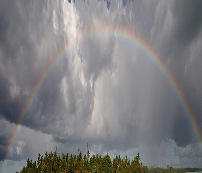 Regenbogen