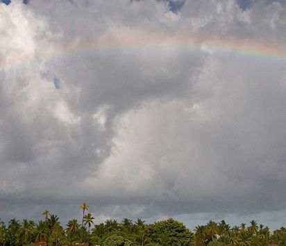 Regenbogen