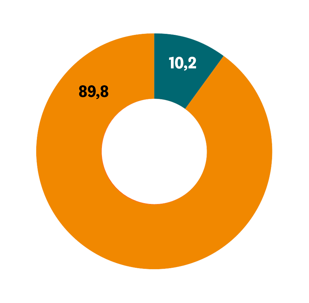 Mittelverwendung 2024: 89,8 % Projektausgaben, 10,2 % Werbung- und Verwaltungsausgaben