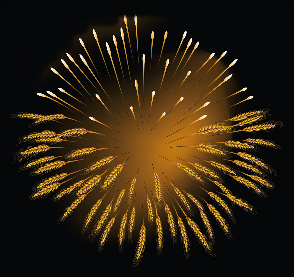 Brot für die Welt Brot für die Welt Brot für die Welt Brot für die Welt