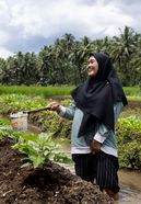 24-year-old Aii waters the crops in her field in Bojung, West Java.  Aii, was one of the 12 winners of the Young Farmer's competition run by partner organisation JAMTANI and she has been growing various crops on the piece of land that she was able to purchase with the seed money that came from winning the competition.-Project partner:  JAMTANI-Project Name: Adaptation to Climate Change, Mitigation and Disaster Risk reduction-Project Number: N-IDN-25-012-Date: February 2025-Location:  Pandangerang, West Java, IndonesiaPhotographed by Emily Macinnes for Brot Für Die Welt