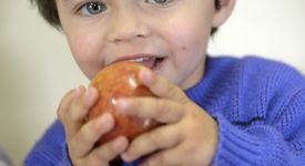 Derick Coutinho, 2 Jahre, ißt einen Apfel aus ökologischen Anbau, Kindergarten der Gemeinde Cangucu "Branca de Neve" (Schneewittchen), Cangucu, Rio Grande do Sul, Brasilien; Foto: Florian Kopp / Brot für die Welt
