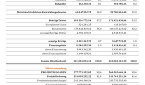 Einnahmen und Projektausgaben