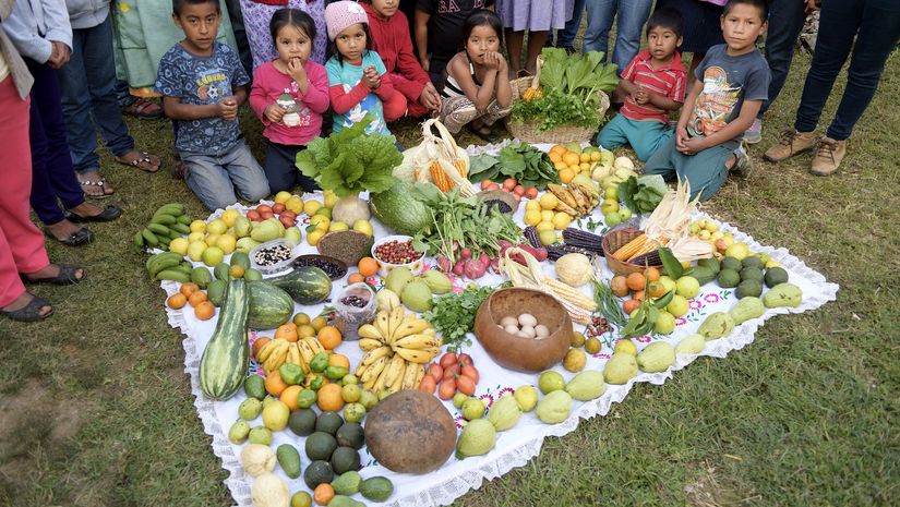 Kinder knien vor einer Tischdecke auf der eine Vielzahl von Obst und Gemüse liegen