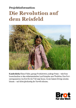 Projektinformation Kambodscha
