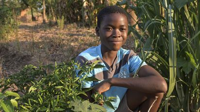 MALAWI, NGO Scope, Permakultur Projekt, Livingstonia, Mantchewe Schule 5. Klasse, zu Hause bei Chimwemwe Gama, 13 Jahre, Gemüsegarten mit Chillies
