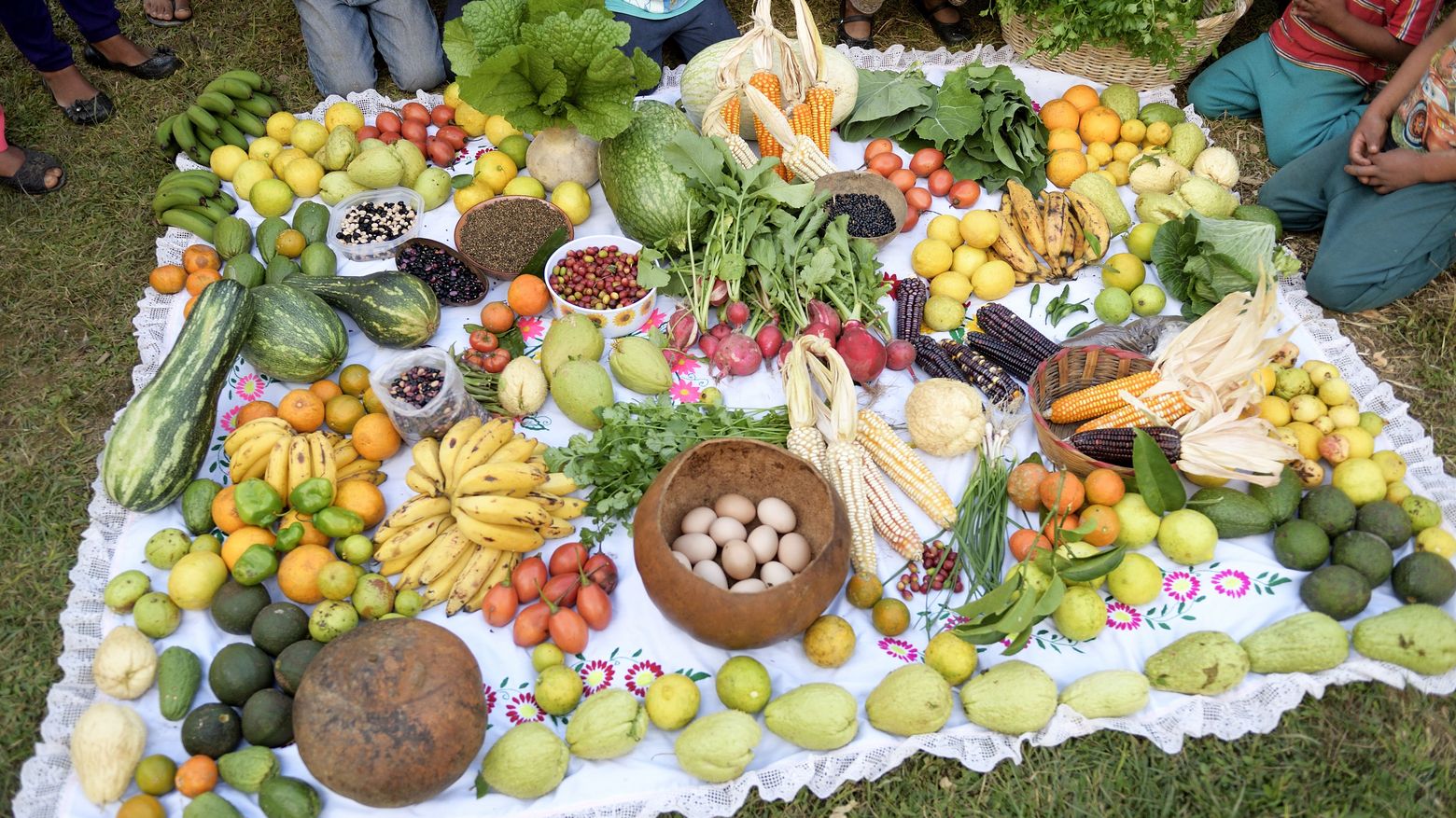Oxaca, Mexiko: Vielfältige Nahrungsmittel dank agrarökologischer Produktion