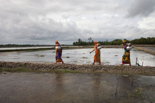 Im Süden von Bangladesch ist das Grundwasser oft versalzen durch den steigenden Meeresspiegel. Frau müssen weiter Wege gehen, um sauberes Wasser zu holen. Partner von Brot für die Welt betreiben Trinkwasserversorgung mit einem solarbetriebenem Umkehr-Osmose-Filter, der Brackwasser in Trinkwasser umwandelt.