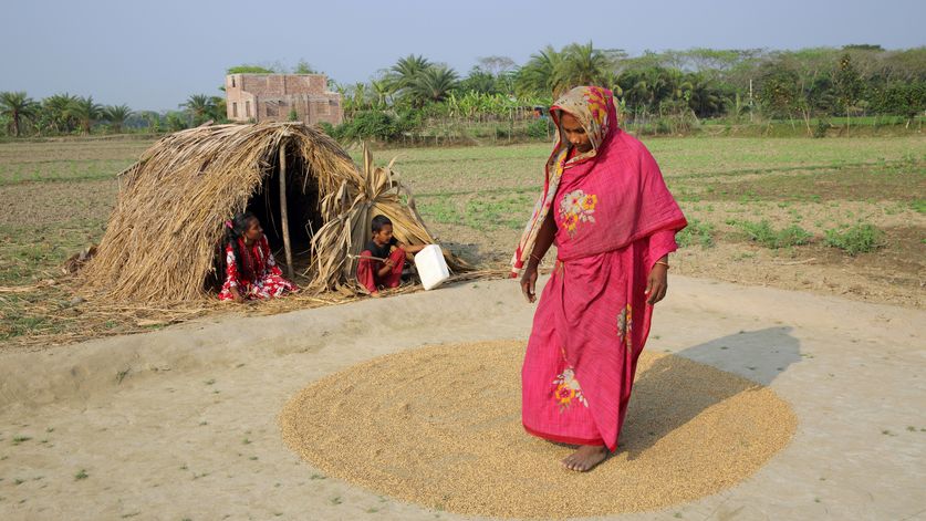 Aklima Begum (34) trocknet Reis in der Sonne.Projektpartner: Christian Commission for Development in Bangladesh (CCDB)