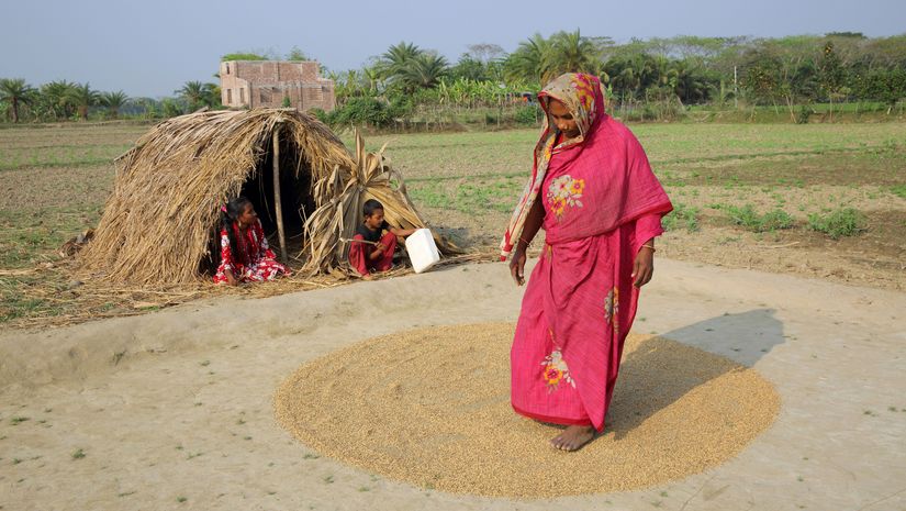 Aklima Begum verteilt Reis auf dem Boden und trocknet ihn in der Sonne