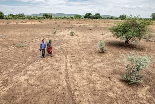 Dürre in Chimanimani