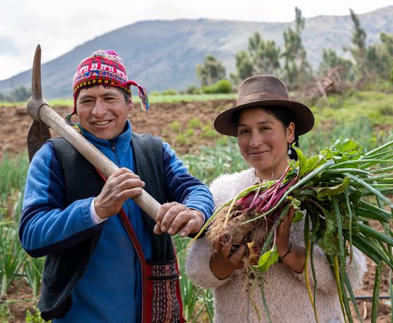 Das Projekt Arariwa in Cusco kümmert sich um die Entwicklung von nachhaltiger Familienlandwirtschaft in der Region.Feldarbeit:Der Landwirt Javier Quispe Valle mit seiner Frau Alicia Champi Salazar auf seinem Feld mit frisch geernteten Zwiebeln.Projektpartner: ARARIWA - Asociacion Arariwa