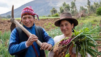 Das Projekt Arariwa in Cusco kümmert sich um die Entwicklung von nachhaltiger Familienlandwirtschaft in der Region.Feldarbeit:Der Landwirt Javier Quispe Valle mit seiner Frau Alicia Champi Salazar auf seinem Feld mit frisch geernteten Zwiebeln.Projektpartner: ARARIWA - Asociacion Arariwa