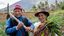 Das Projekt Arariwa in Cusco kümmert sich um die Entwicklung von nachhaltiger Familienlandwirtschaft in der Region.Feldarbeit:Der Landwirt Javier Quispe Valle mit seiner Frau Alicia Champi Salazar auf seinem Feld mit frisch geernteten Zwiebeln.Projektpartner: ARARIWA - Asociacion Arariwa