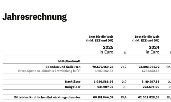 Einnahmen und Projektausgaben