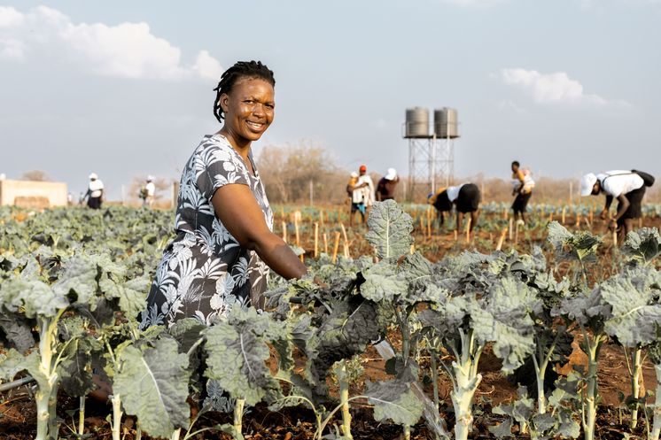 Beauty Nyathi (45) wässert ihr Feld im Community-Garten.Partnerorganisation: Consorcio