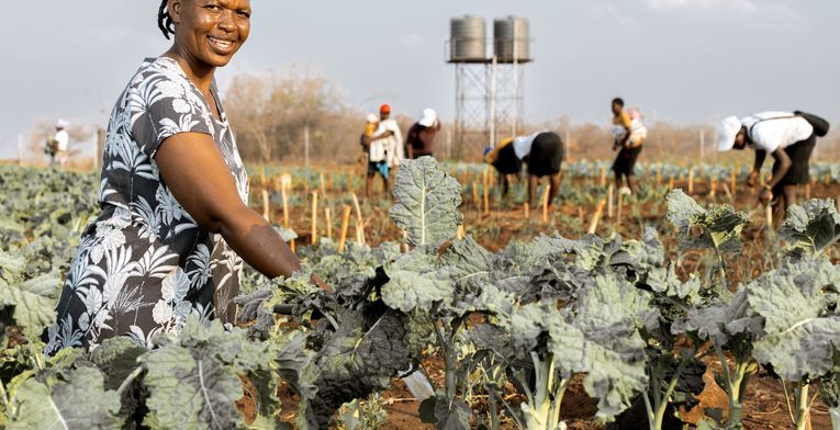 Beauty Nyathi (45) wässert ihr Feld im Community-Garten.Partnerorganisation: Consorcio