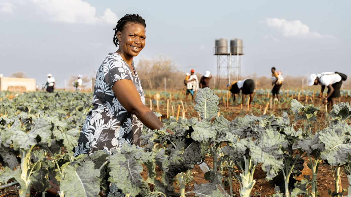Beauty Nyathi (45) wässert ihr Feld im Community-Garten.Partnerorganisation: Consorcio