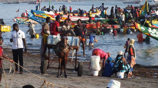Fischereihafen Joal/Senegal