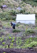 Florencio Martinez, 46 Jahre arbeitet in dem GemÃ¼segarten, das er mit Hilfe des Projekts angelegt hat, Santa Maria Yacochi, Bundesstaat Oaxaca, Mexiko