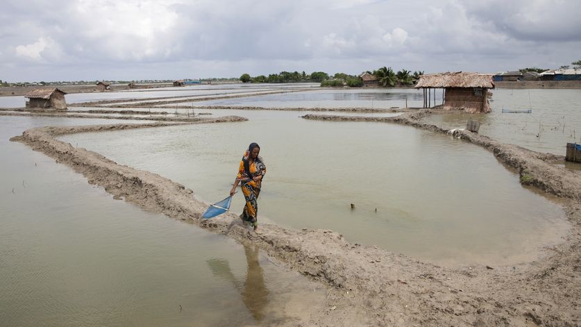 Daily life in Shyamnagar, Satkhira, Bangladesh