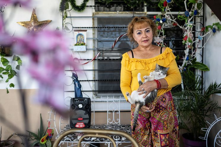 Oaxaca, Mexiko, 23.11.2025: Im Innenhof ihres Hauses aus Wellblech am Rand von Oaxaca spielt Zoila Bengochea, 61, mit ihren drei kleinen Katzen. In jeder Ecke ist irgend etwas, das sie an ihre Tochter Dafne erinnert.Am frühen Morgen des 9. April 2013 wurde die damals 21-jährige Dafne Denisse Carreño in Oaxaca von ihrem ehemaligen Freund mit Messerstichen ermordet. Der Mord an Dafne Carrillo war der erste in Oaxaca, bei dem der Straftatbestand des Feminizids angewendet wurde.