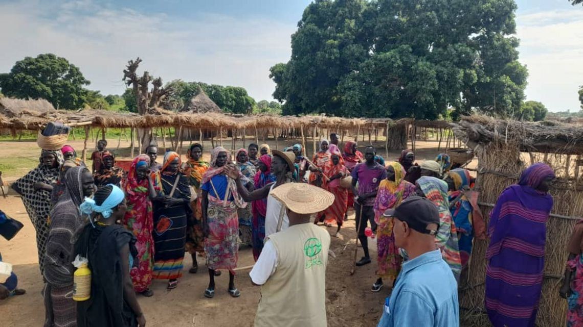 Landwirtschaftsprojekt Sudan