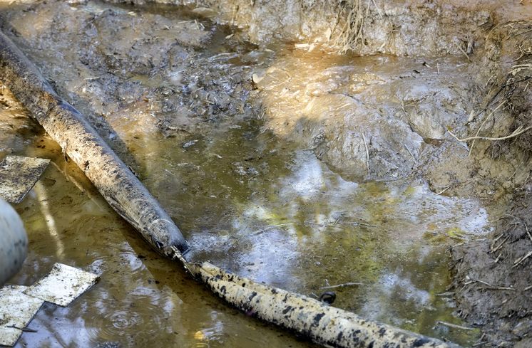 Regenwald, der vor über 10 Jahren nach dem Bruch einer Piepline von Öl verseucht und seither nicht nutzbar ist. Nach jahrelangem Streit ist die Erdölgesellschaft nun endlich bereit, den Schaden zu beheben und die Fläche zu reinigen, Anwesen des Ehepaares Belia Vaca (53 Jahre) und Galo Rodgrigues (63), Ort "Y del Mitad del Mundo", Provinz Sucumbíos, Ecuador; Foto: Florian Kopp / Brot für die Welt