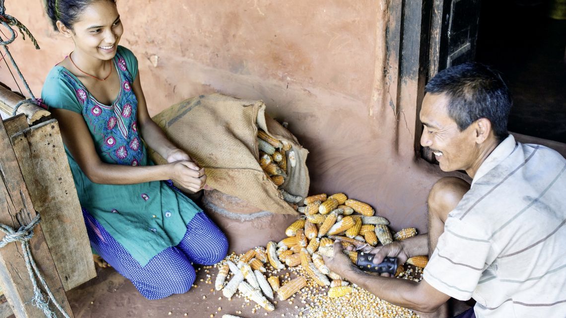 Shankhar Bhujal und seine Tochter trennen Maiskörner vom Kolben 