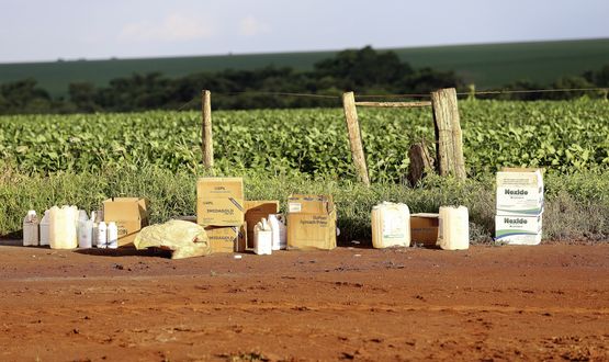 Tierfutter statt Nahrungsmittel