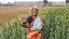 Sundori Murmu (35) im Feld mit Senfpflanzen.Projektpartner:  CCBVO - Centre for Capacity Building of Voluntary Organization