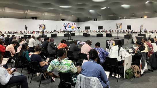 Verhandlungsrunde zum Globalen Anpassungsziel auf der OP30