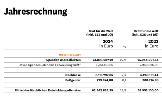 Einnahmen und Projektausgaben